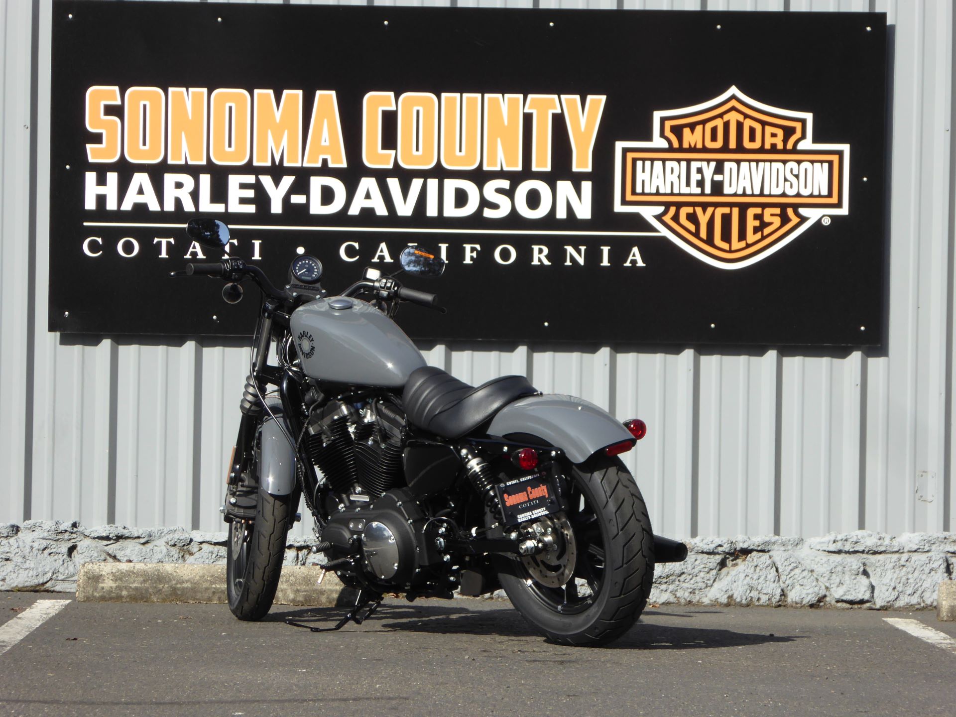 iron 83 harley davidson