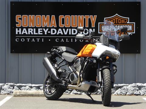 2021 Harley-Davidson Pan America™ Special in Cotati, California - Photo 2