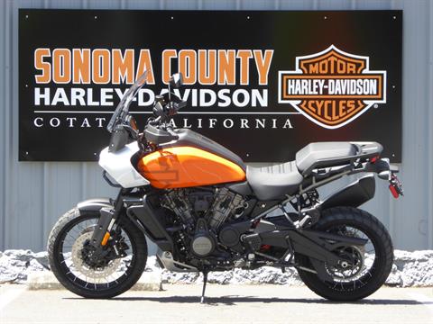 2021 Harley-Davidson Pan America™ Special in Cotati, California - Photo 3