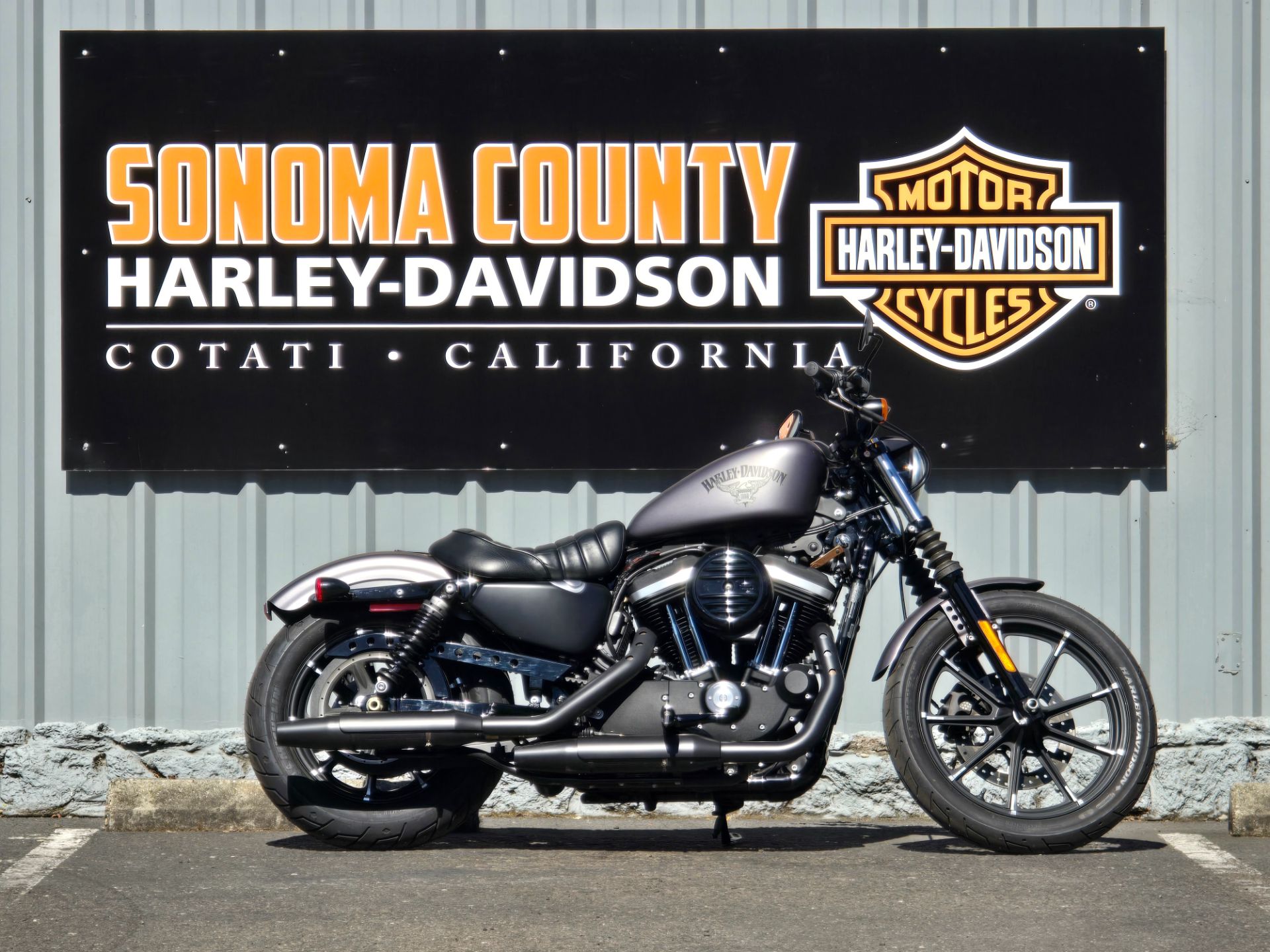 2016 Harley-Davidson Iron 883™ in Cotati, California - Photo 1