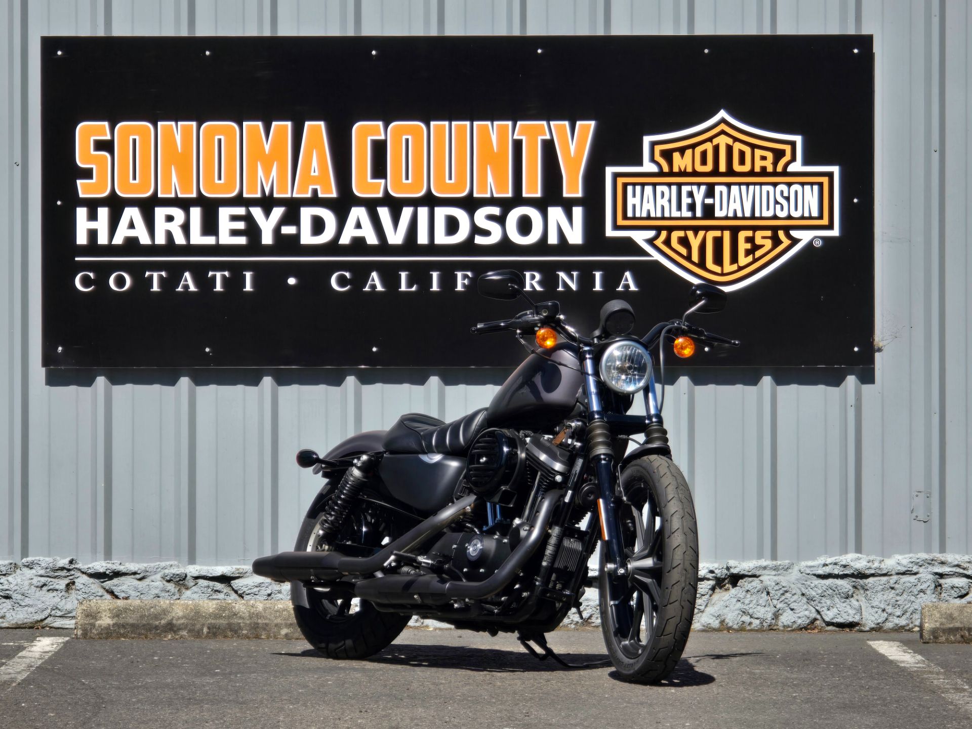 2016 Harley-Davidson Iron 883™ in Cotati, California - Photo 2