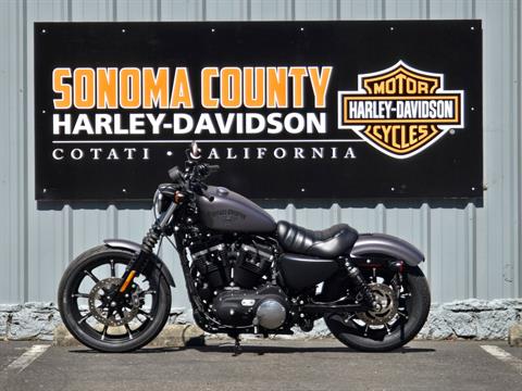 2016 Harley-Davidson Iron 883™ in Cotati, California - Photo 3