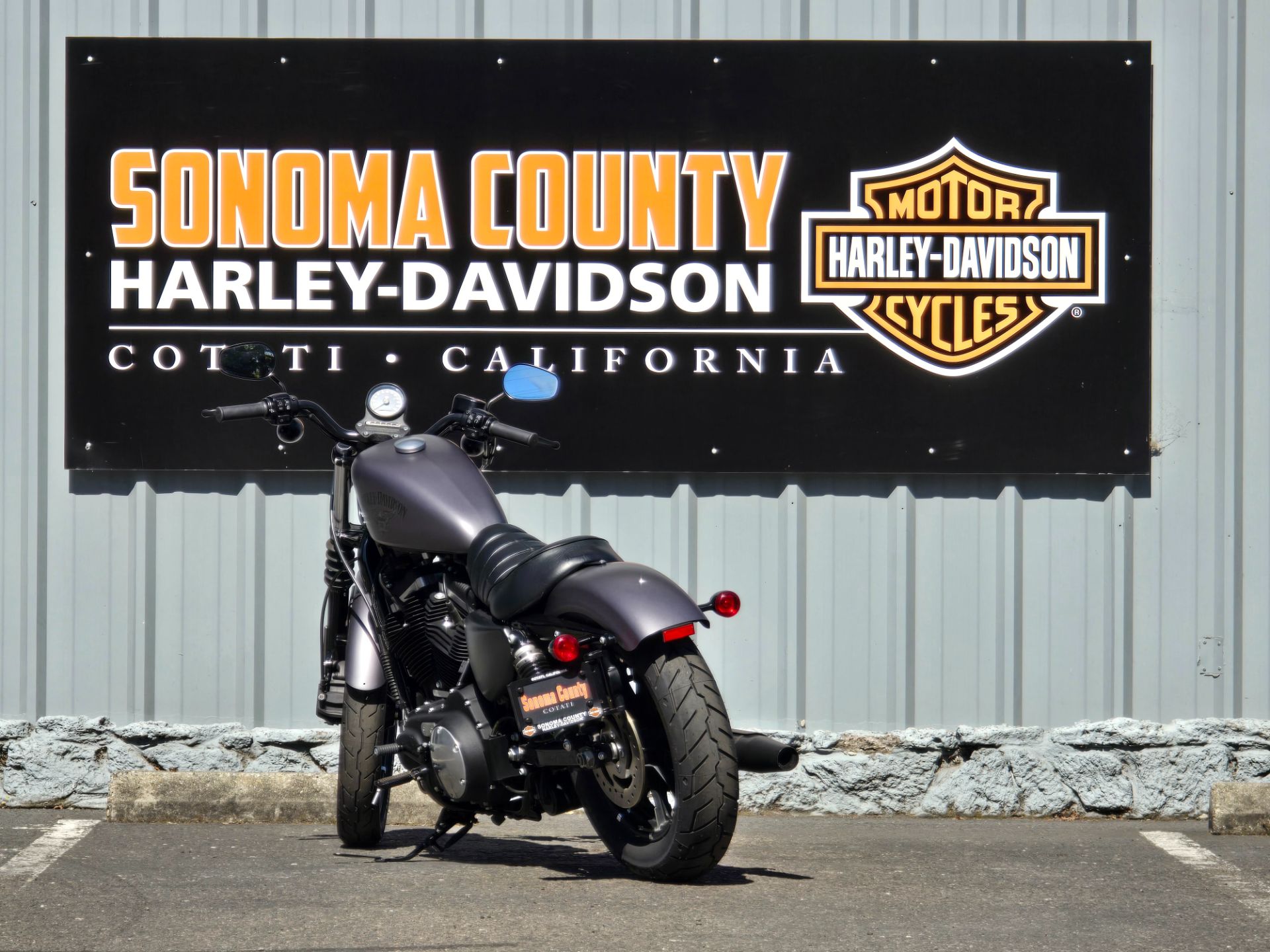 2016 Harley-Davidson Iron 883™ in Cotati, California - Photo 4