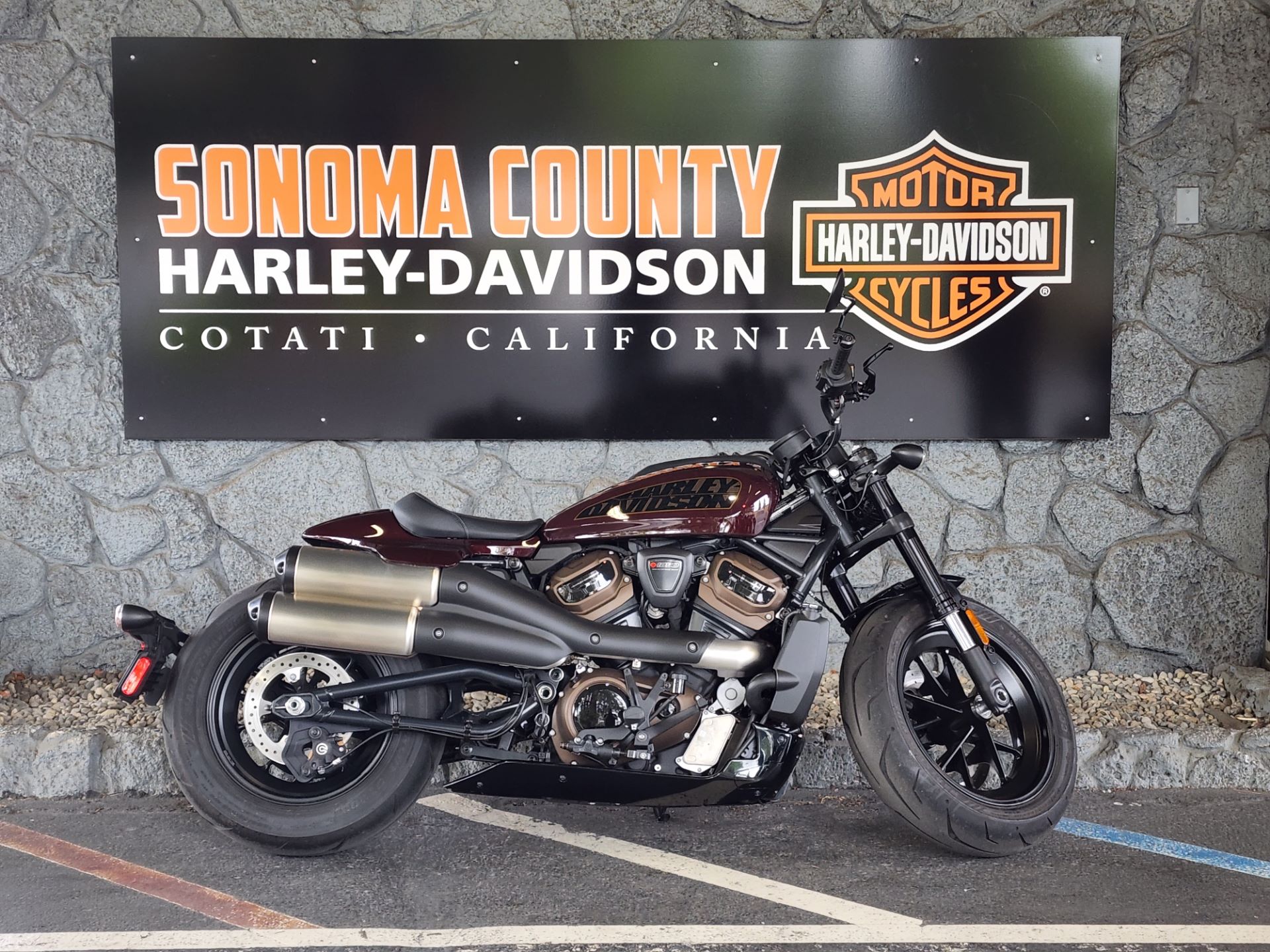 2021 Harley-Davidson Sportster® S in Cotati, California