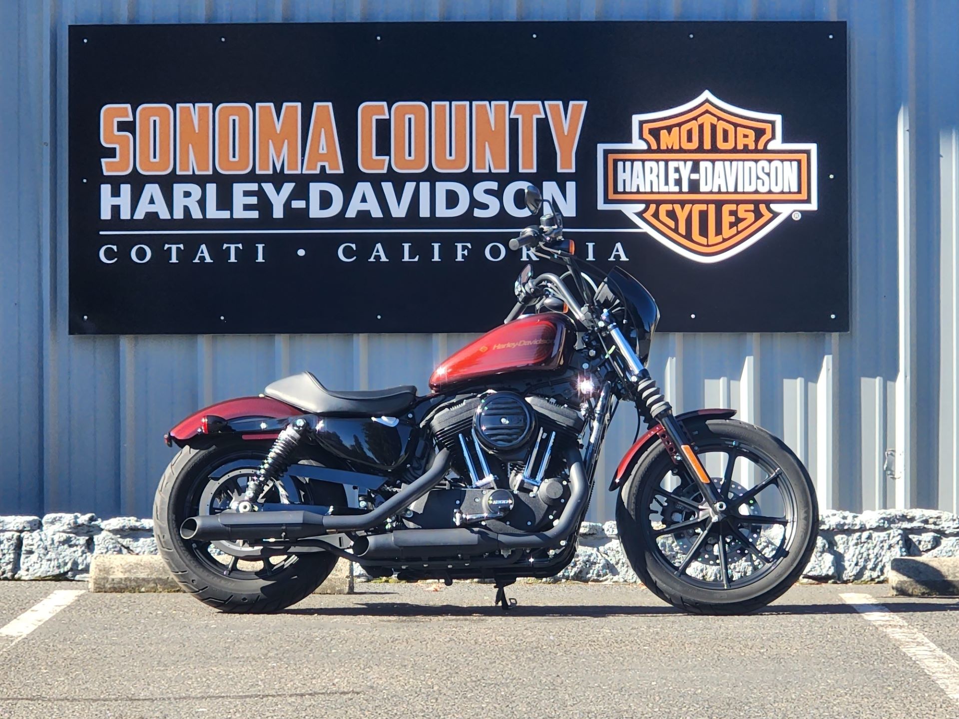 2019 Harley-Davidson Iron 1200™ in Cotati, California - Photo 1