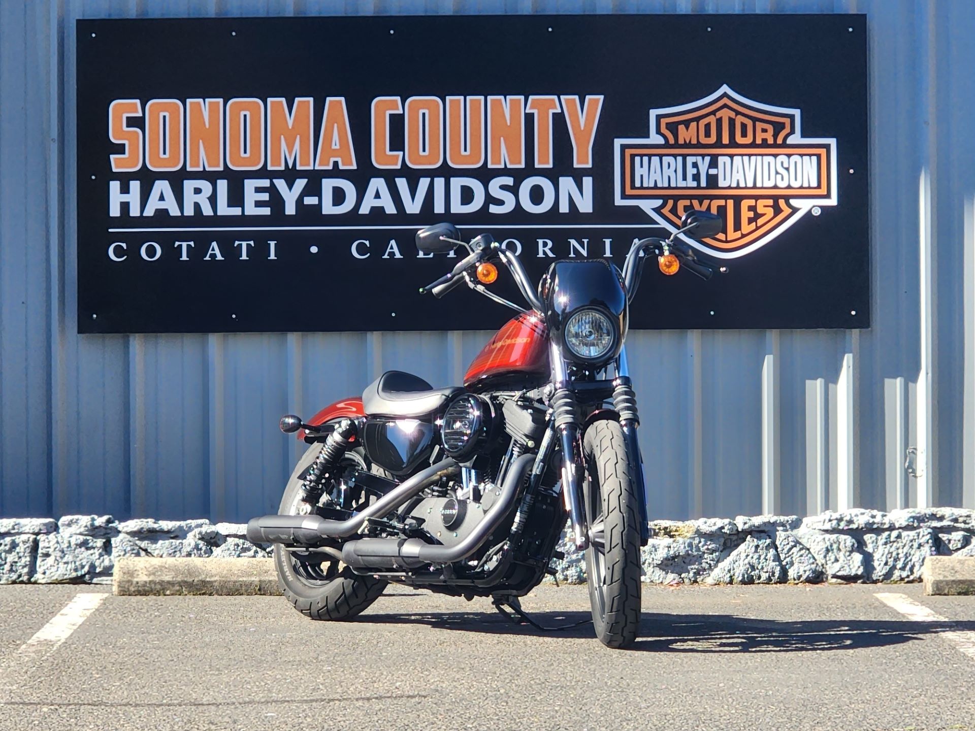 2019 Harley-Davidson Iron 1200™ in Cotati, California - Photo 2