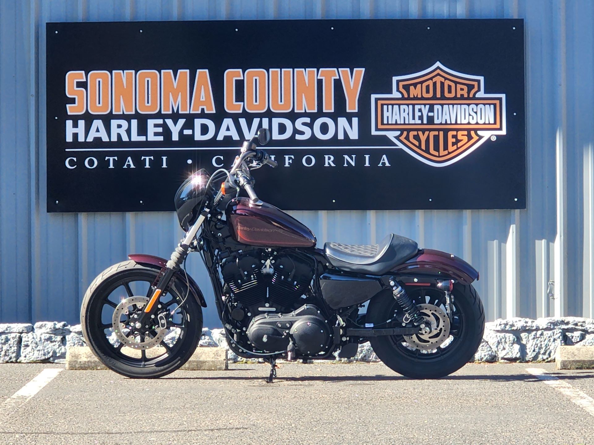 2019 Harley-Davidson Iron 1200™ in Cotati, California - Photo 3