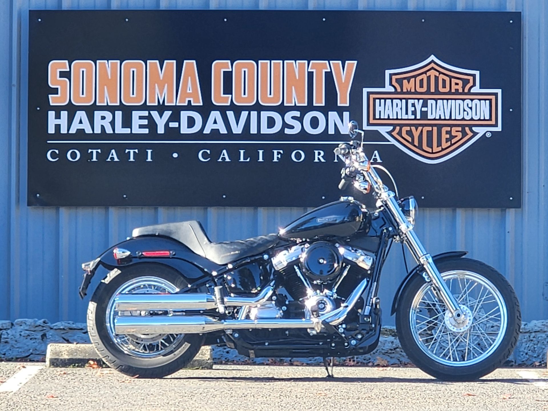 2020 Harley-Davidson Softail® Standard in Cotati, California - Photo 3