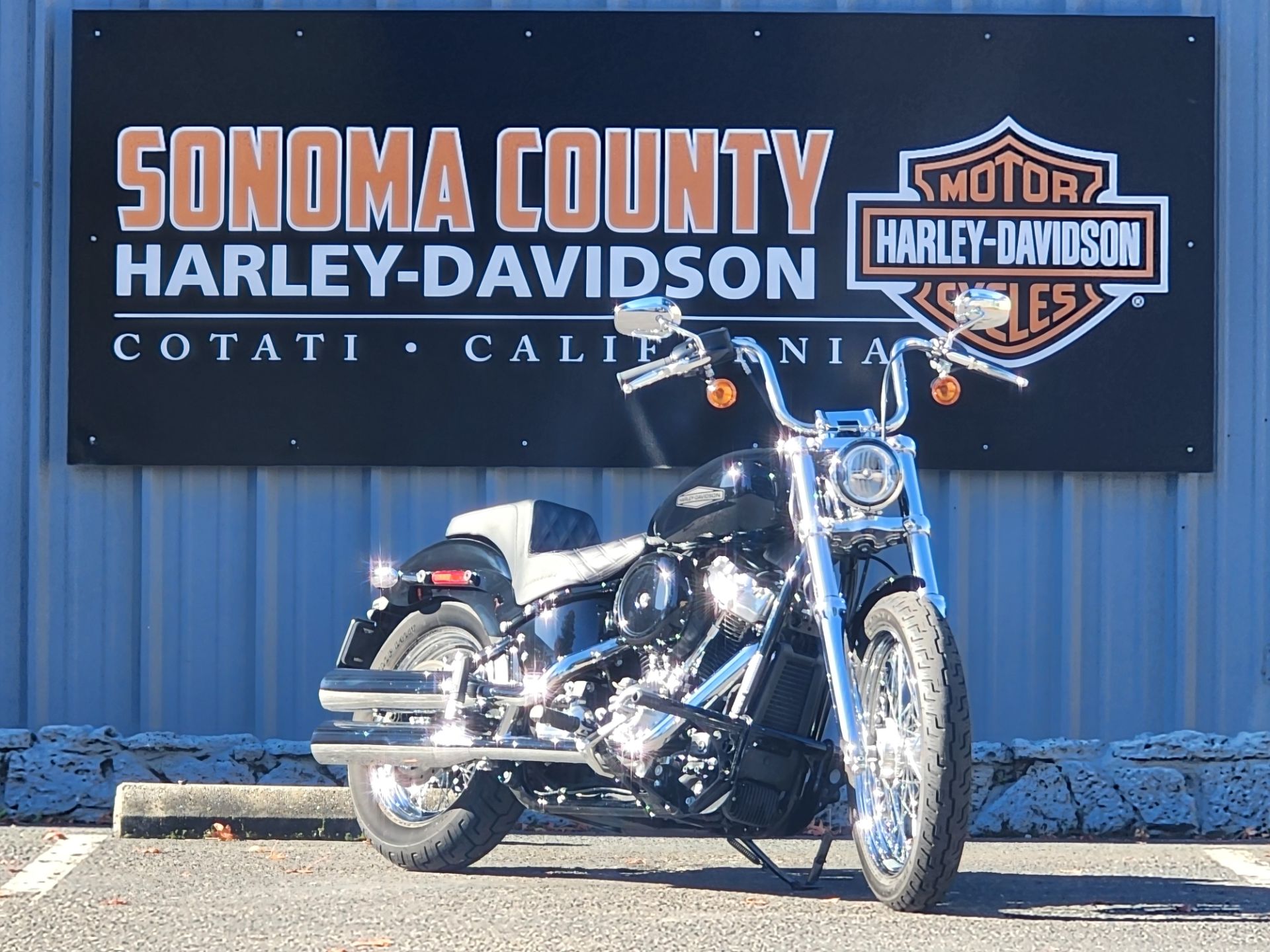 2020 Harley-Davidson Softail® Standard in Cotati, California - Photo 4