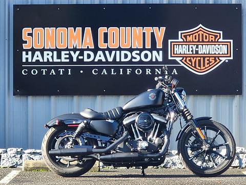 2019 Harley-Davidson SPORTSTER 883 IRON in Cotati, California - Photo 1