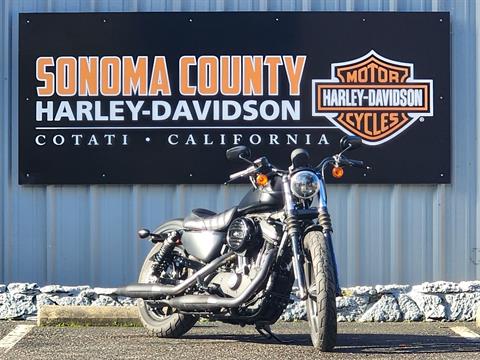 2019 Harley-Davidson SPORTSTER 883 IRON in Cotati, California - Photo 2