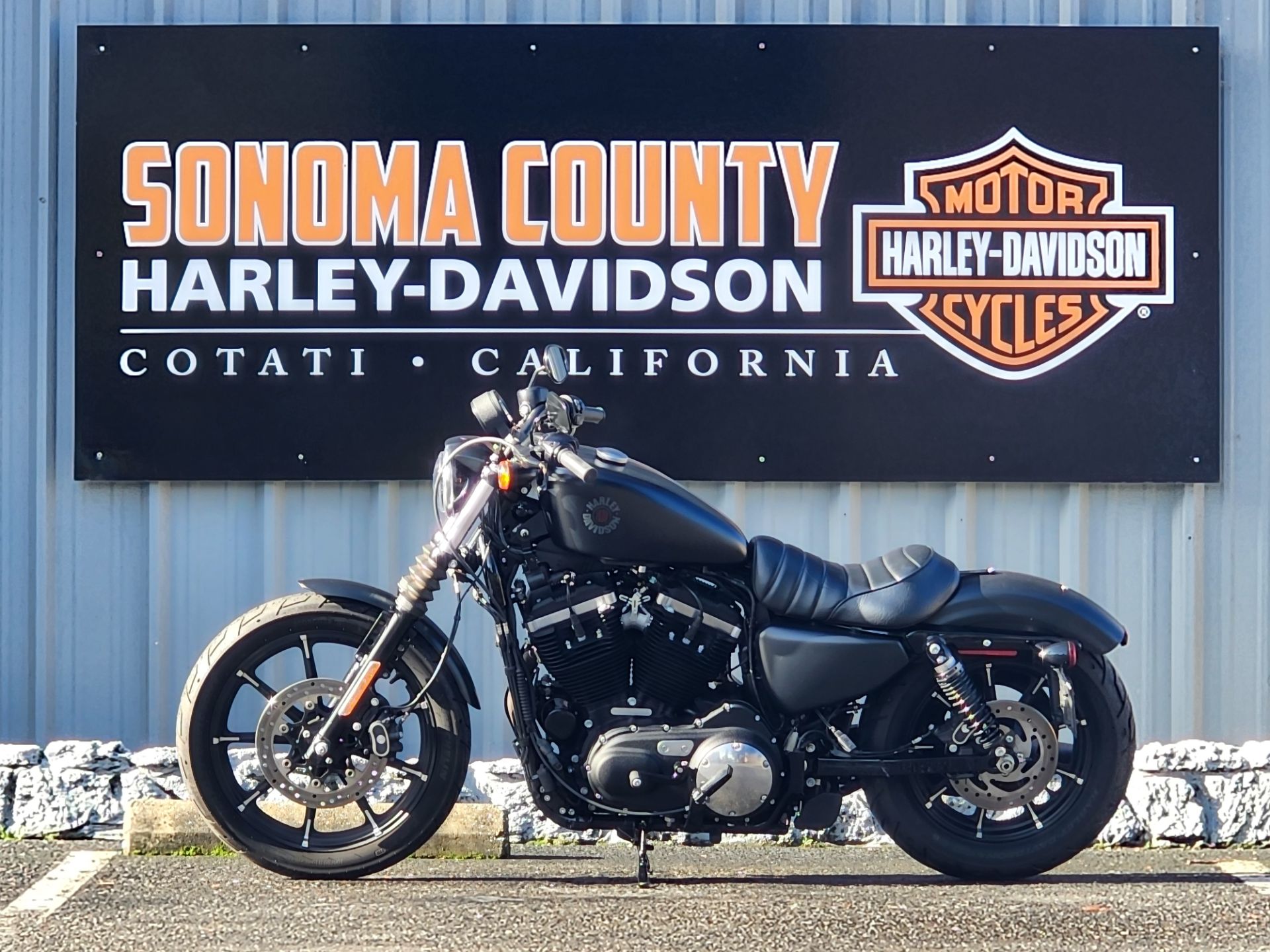 2019 Harley-Davidson SPORTSTER 883 IRON in Cotati, California - Photo 3