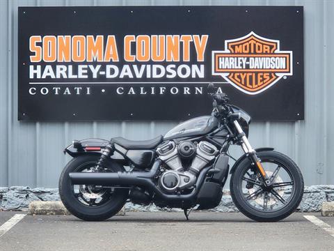 2022 Harley-Davidson Nightster™ in Cotati, California - Photo 1