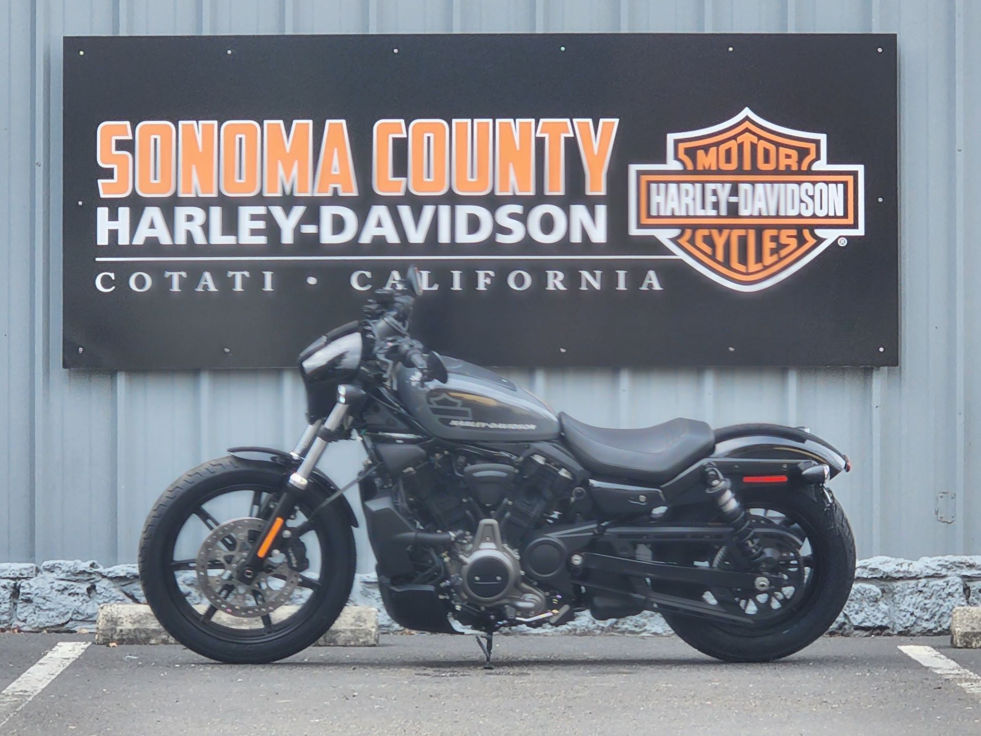 2022 Harley-Davidson Nightster™ in Cotati, California - Photo 3
