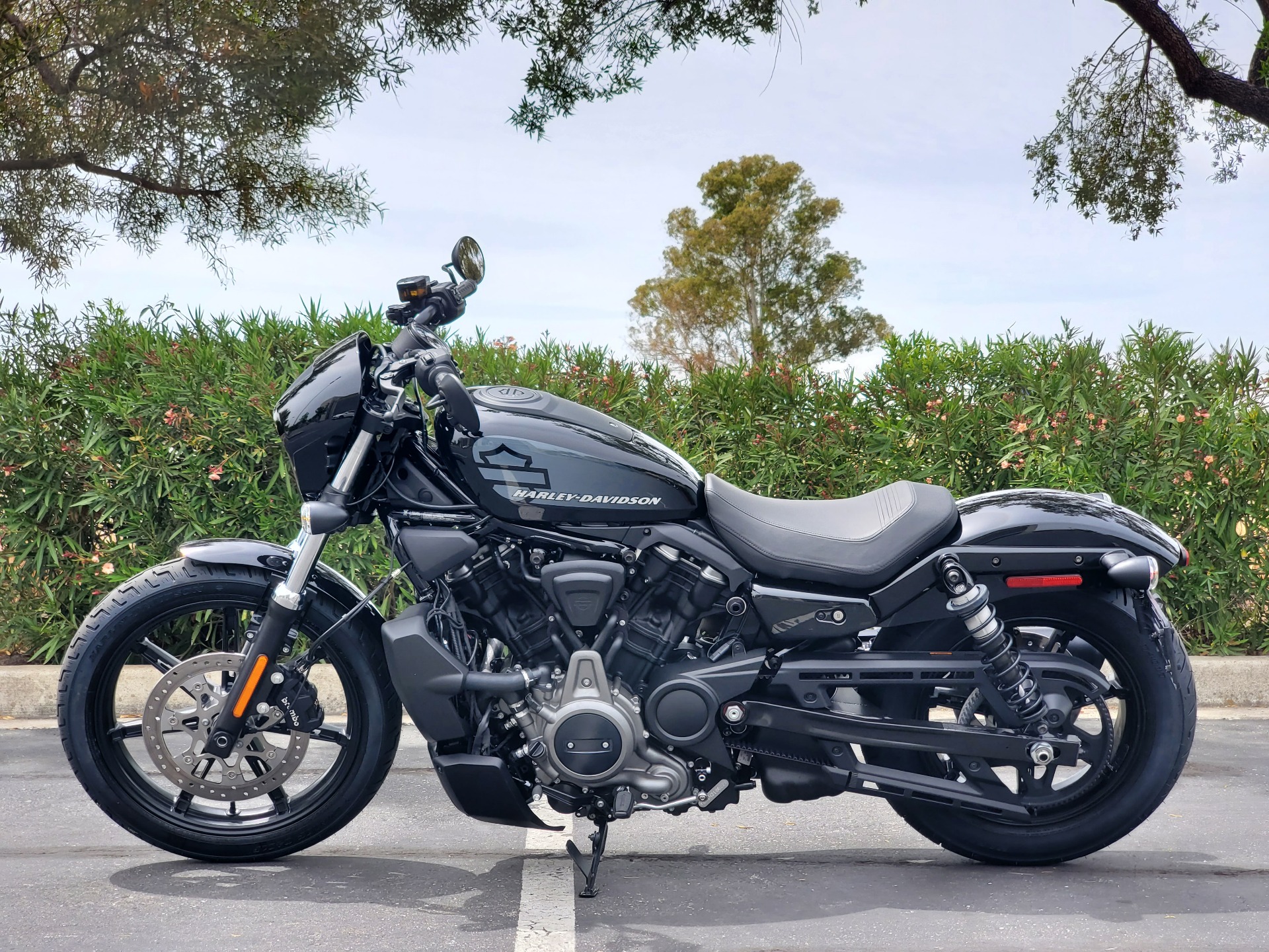 2022 Harley-Davidson Nightster™ in Livermore, California - Photo 1