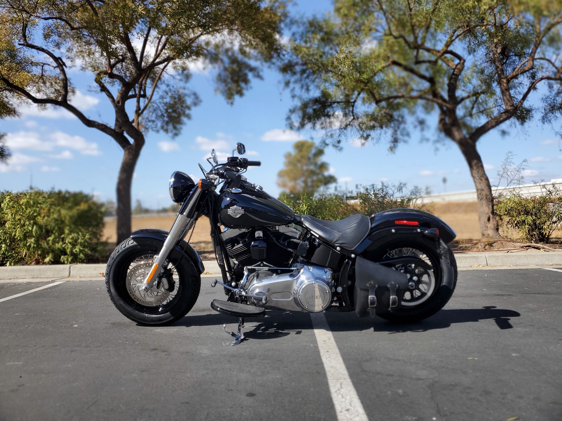 2015 Harley-Davidson Softail Slim® in Livermore, California - Photo 1