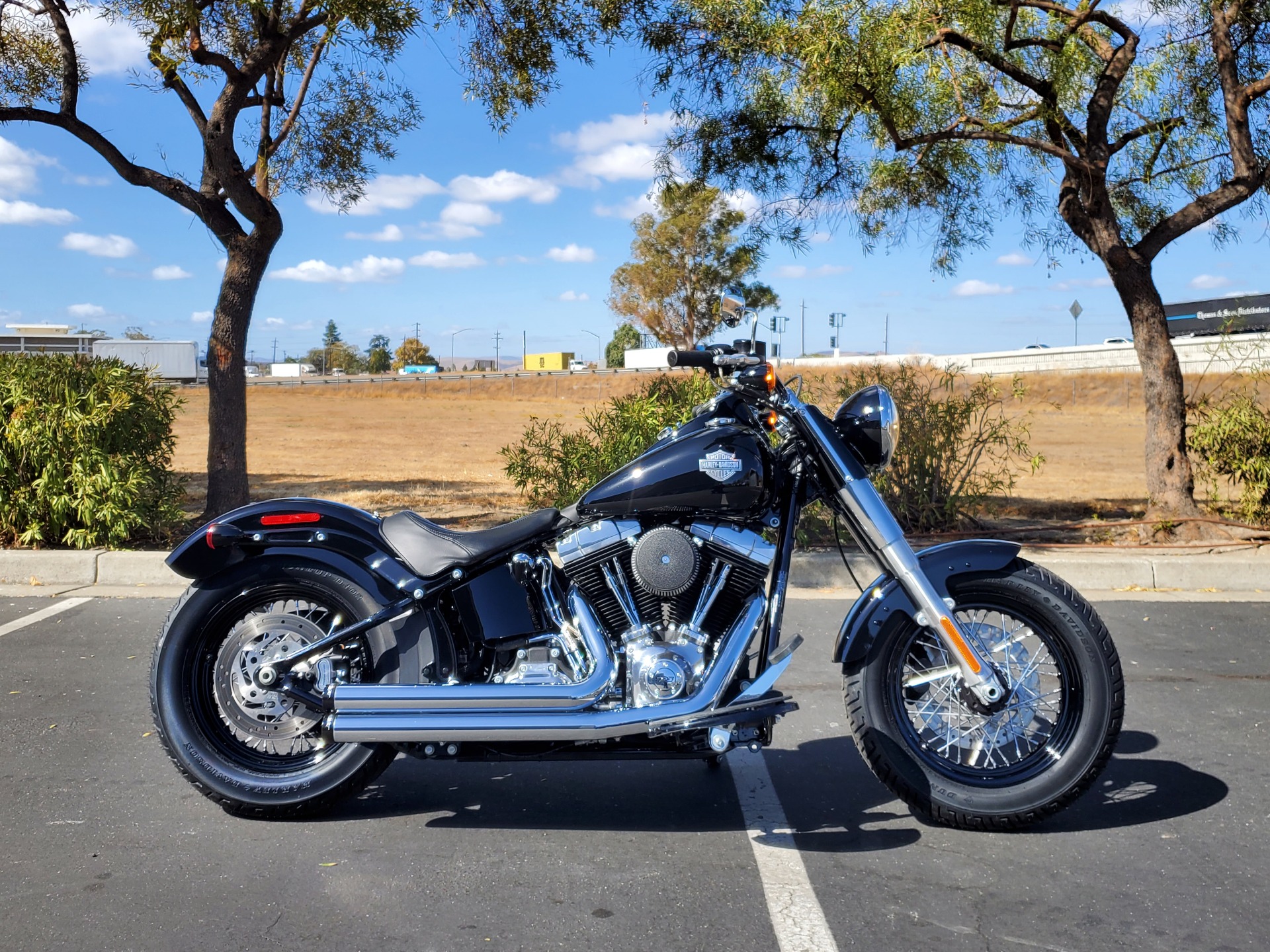 2015 Harley-Davidson Softail Slim® in Livermore, California - Photo 3