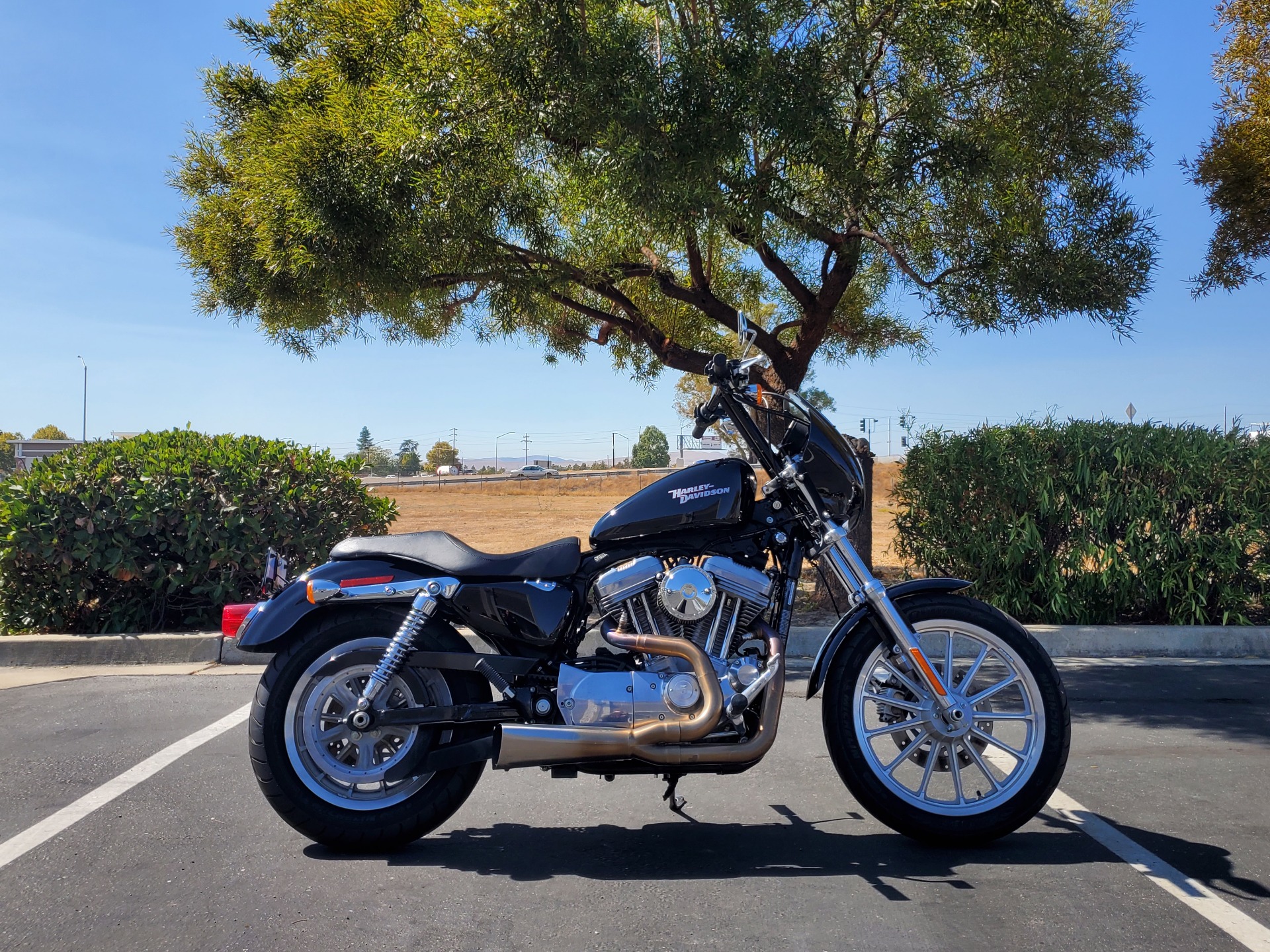 2008 Harley-Davidson Sportster® 883 in Livermore, California - Photo 1