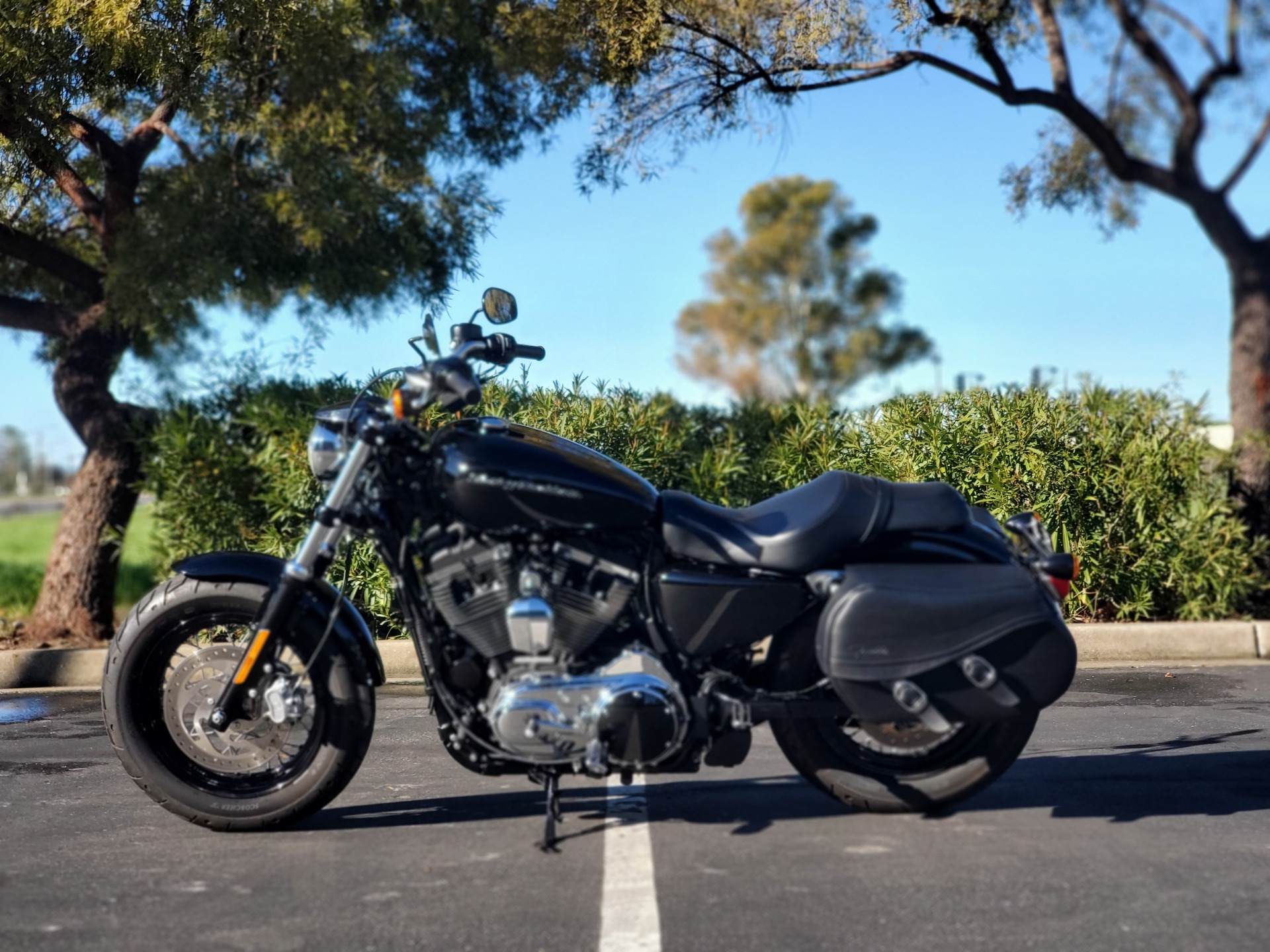 2019 Harley-Davidson XL1200C in Livermore, California - Photo 3
