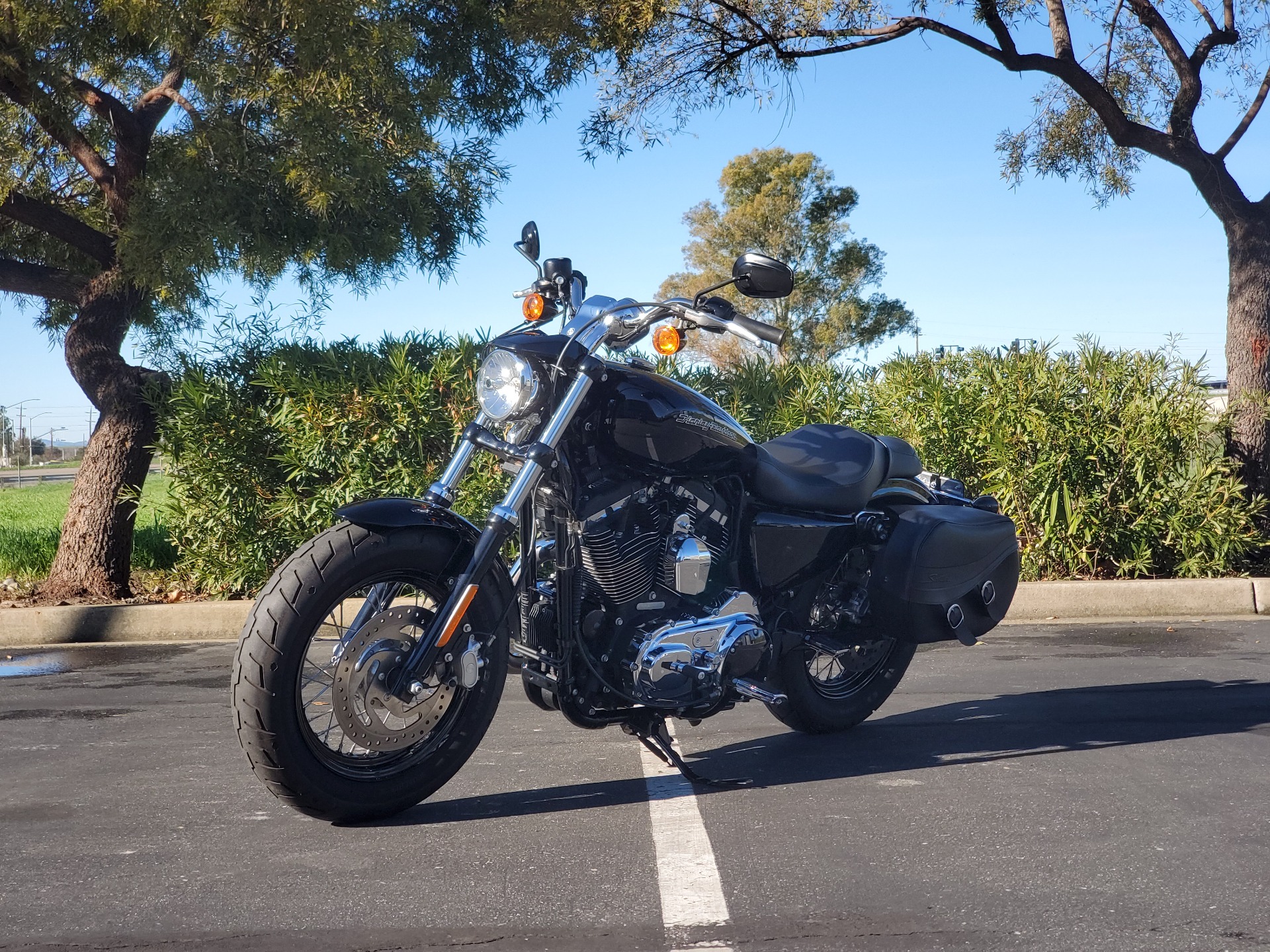 2019 Harley-Davidson XL1200C in Livermore, California - Photo 1