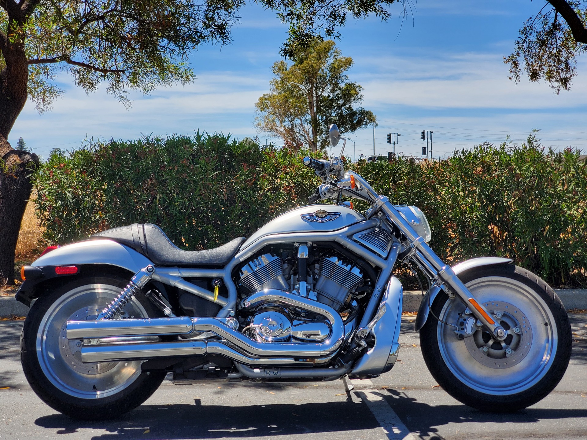 2003 Harley-Davidson VRSCA  V-Rod® in Livermore, California - Photo 1
