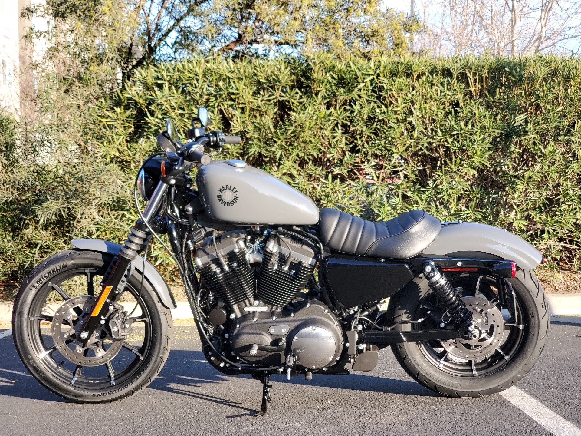 iron 883 insurance cost