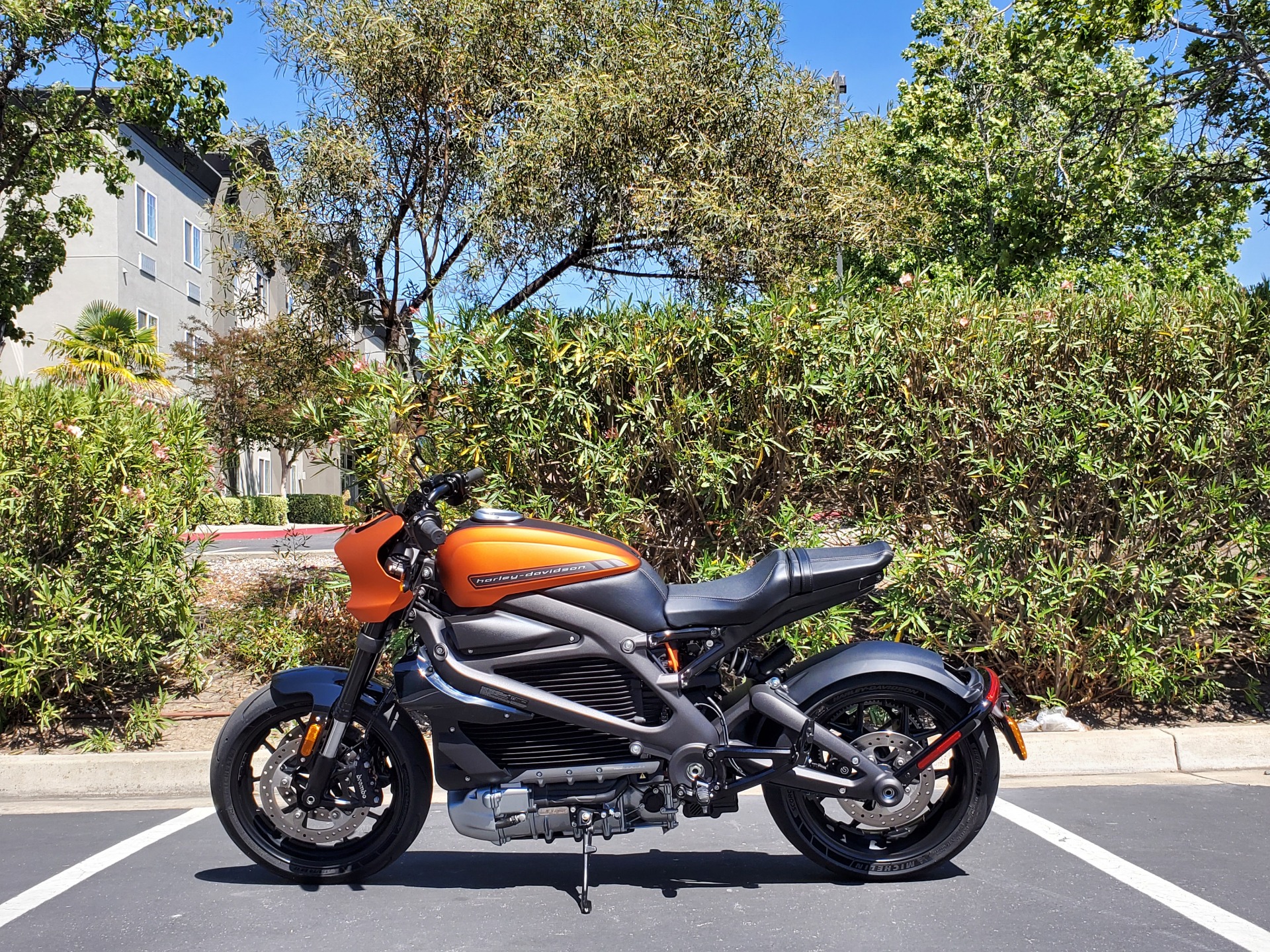 2020 Harley-Davidson Livewire™ in Livermore, California - Photo 1