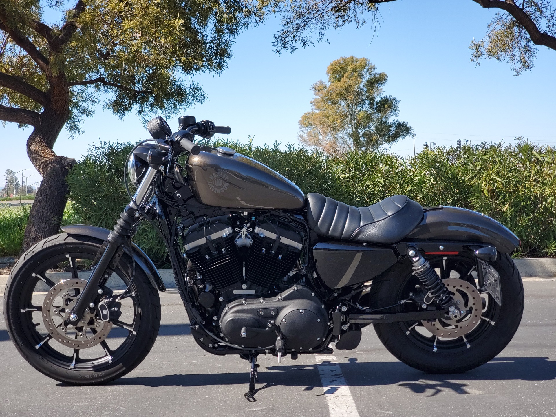 2020 Harley-Davidson Iron 883™ in Livermore, California - Photo 1