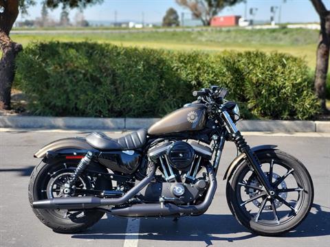2020 Harley-Davidson Iron 883™ in Livermore, California - Photo 2