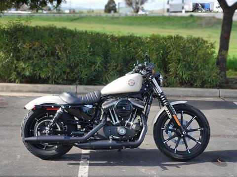 2022 Harley-Davidson Iron 883™ in Livermore, California - Photo 1