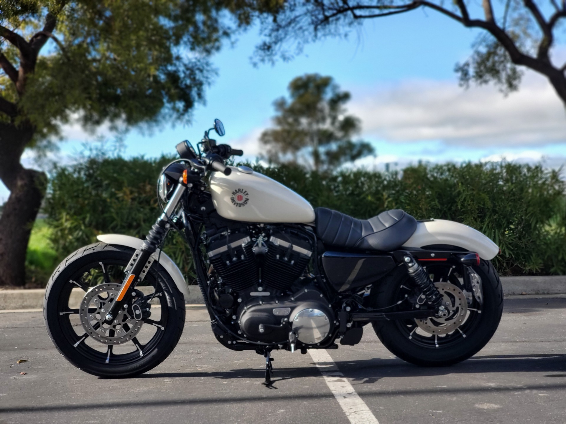 2022 Harley-Davidson Iron 883™ in Livermore, California - Photo 2