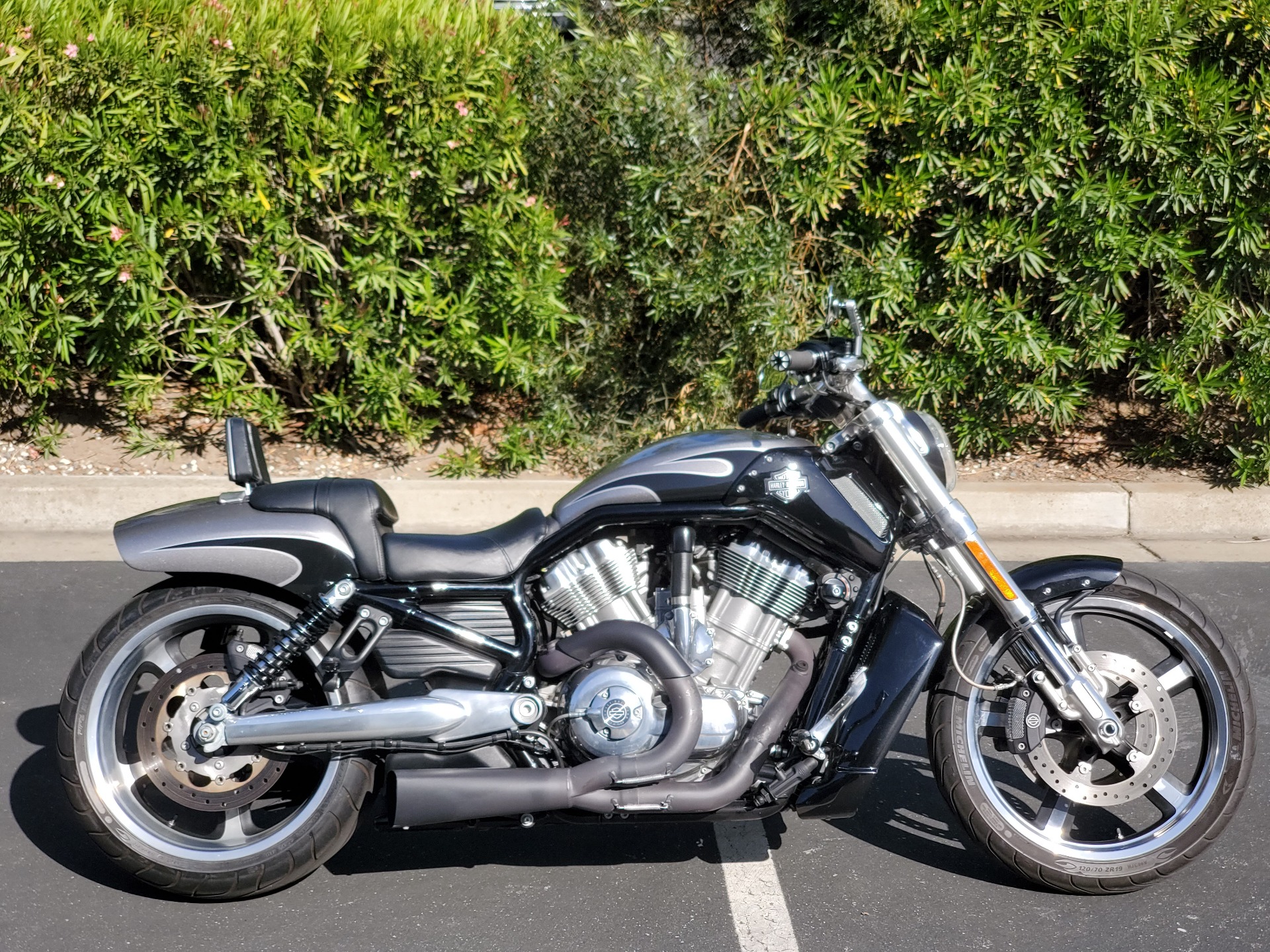 2016 Harley-Davidson V-Rod Muscle® in Livermore, California - Photo 1