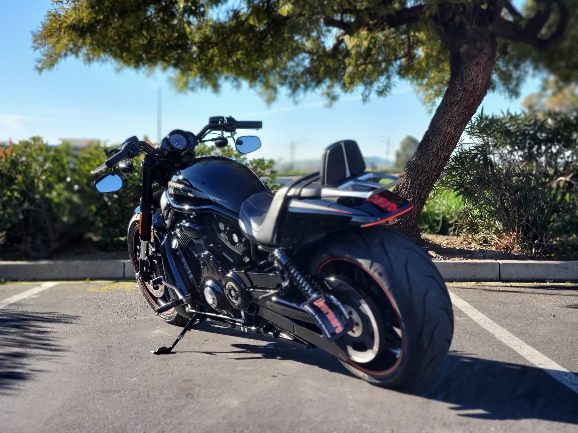 2014 Harley-Davidson Night Rod® Special in Livermore, California - Photo 12