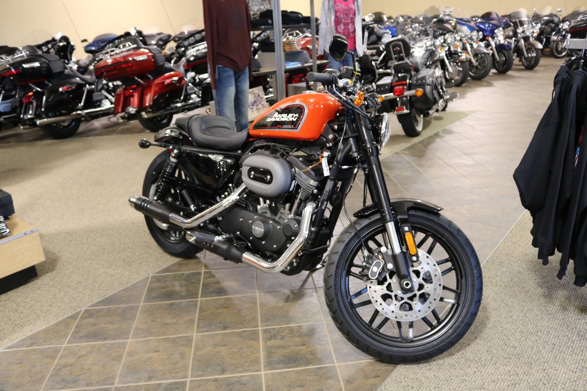 harley davidson roadster price