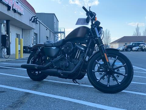 2019 Harley-Davidson Iron 883™ in Frederick, Maryland - Photo 1