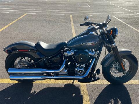2019 Harley-Davidson Softail Slim® in Colorado Springs, Colorado - Photo 1
