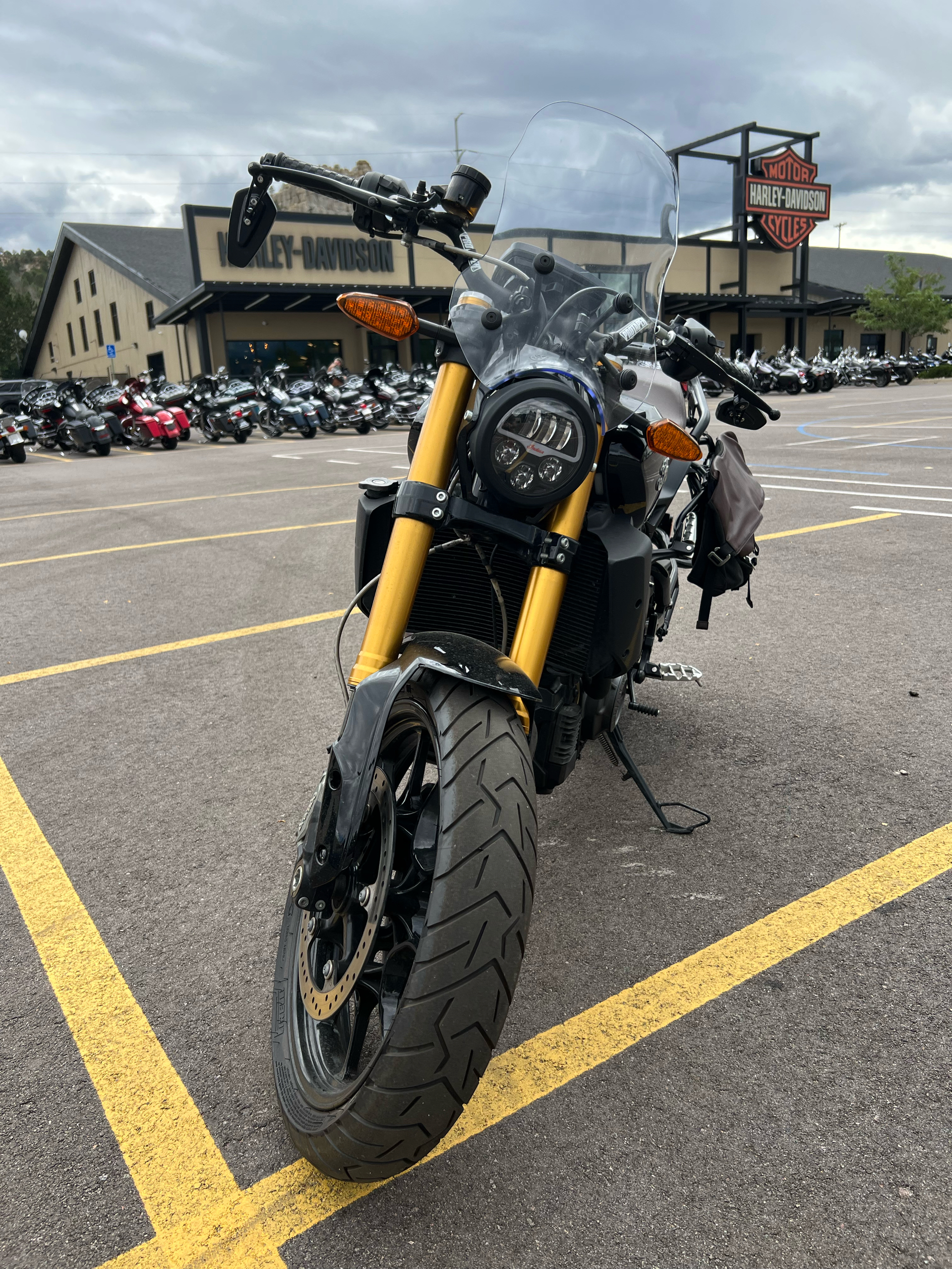 2019 Indian Motorcycle FTR™ 1200 in Colorado Springs, Colorado - Photo 4