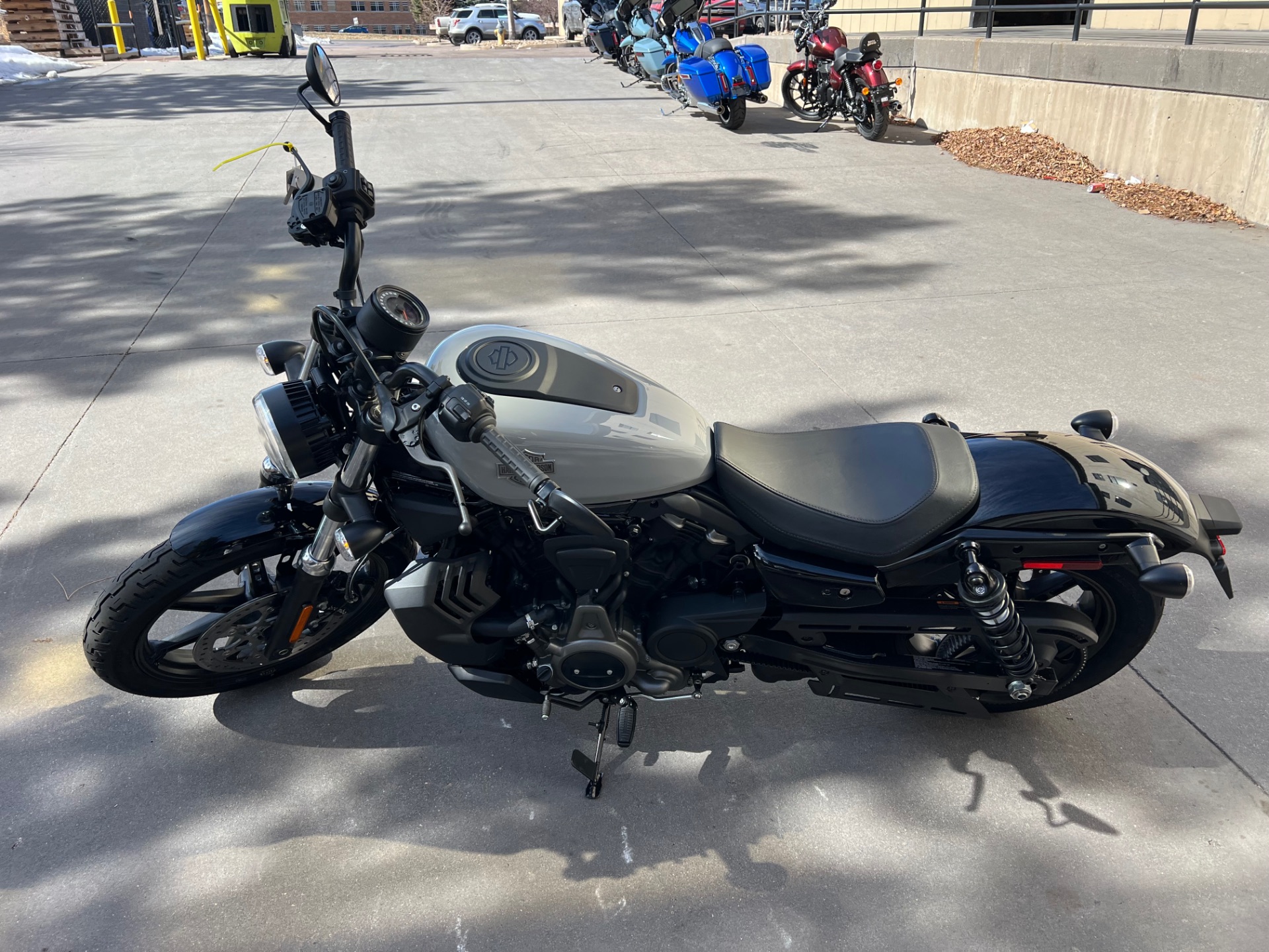 2024 Harley-Davidson Nightster® in Colorado Springs, Colorado - Photo 5