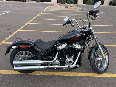 2023 Harley-Davidson Softail® Standard in Colorado Springs, Colorado - Photo 1