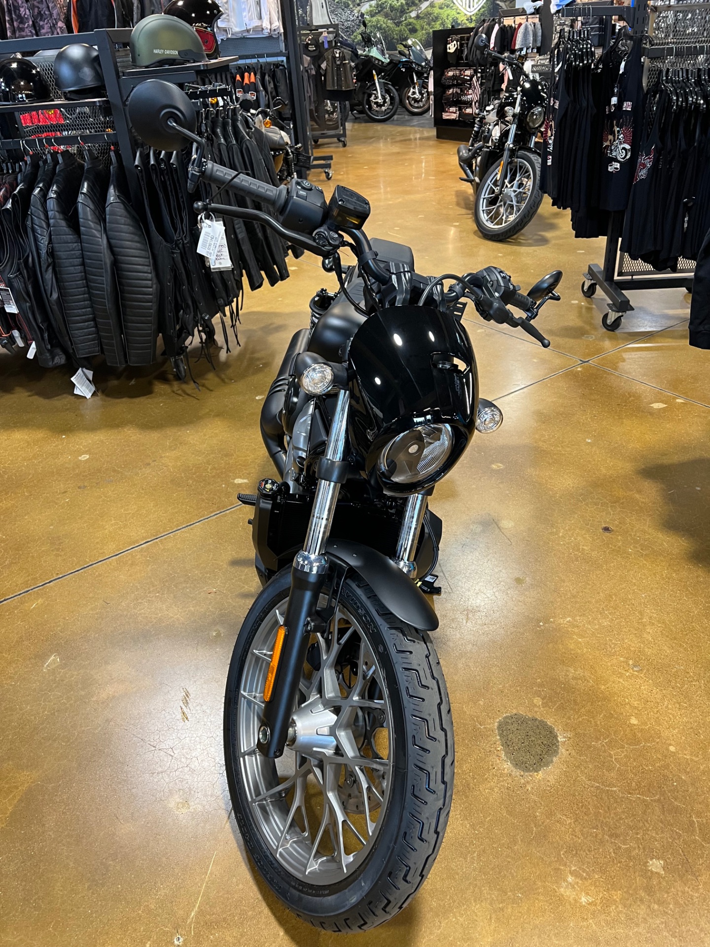 2023 Harley-Davidson Nightster® Special in Colorado Springs, Colorado - Photo 3