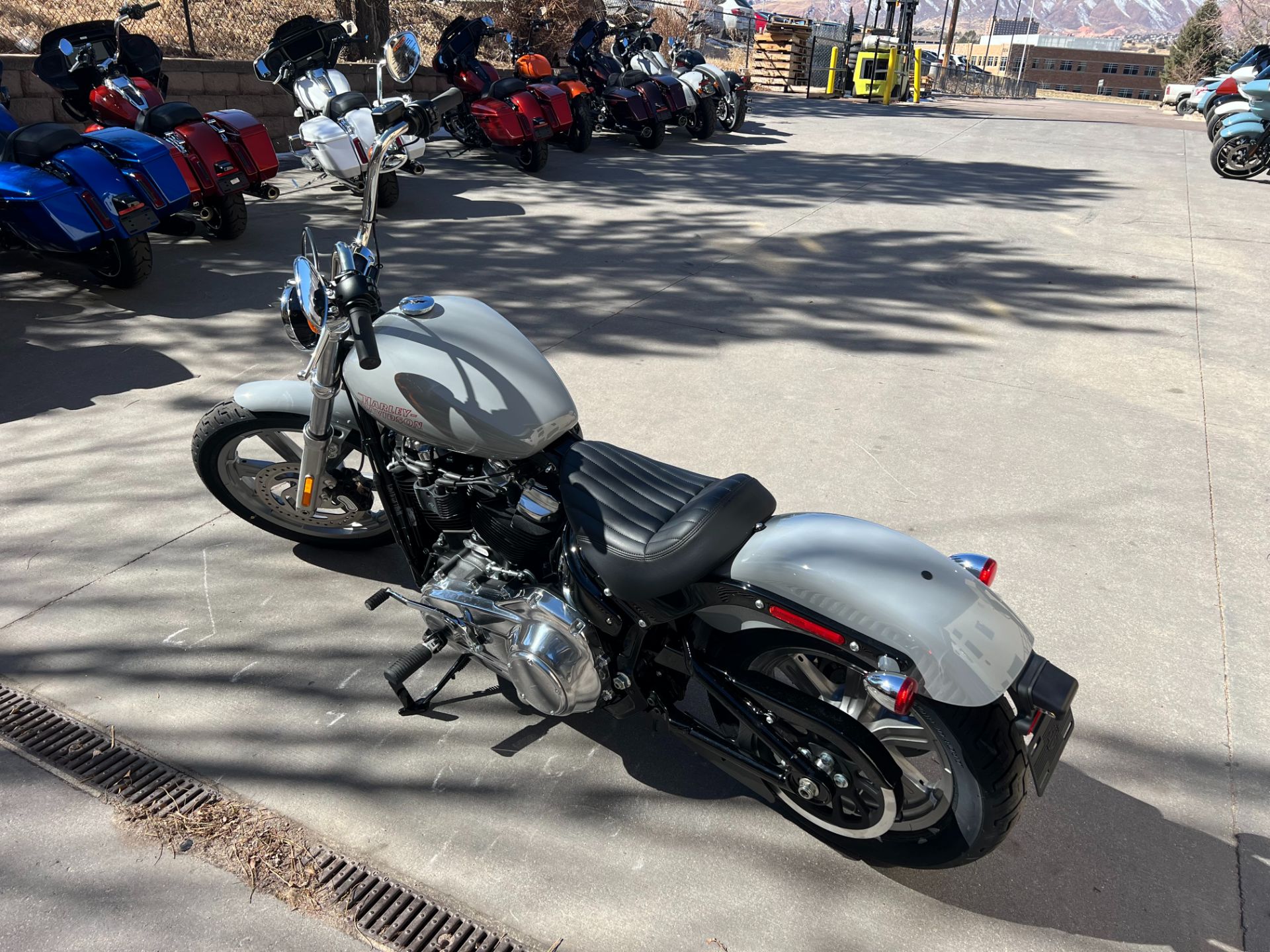 2024 Harley-Davidson Softail® Standard in Colorado Springs, Colorado - Photo 6