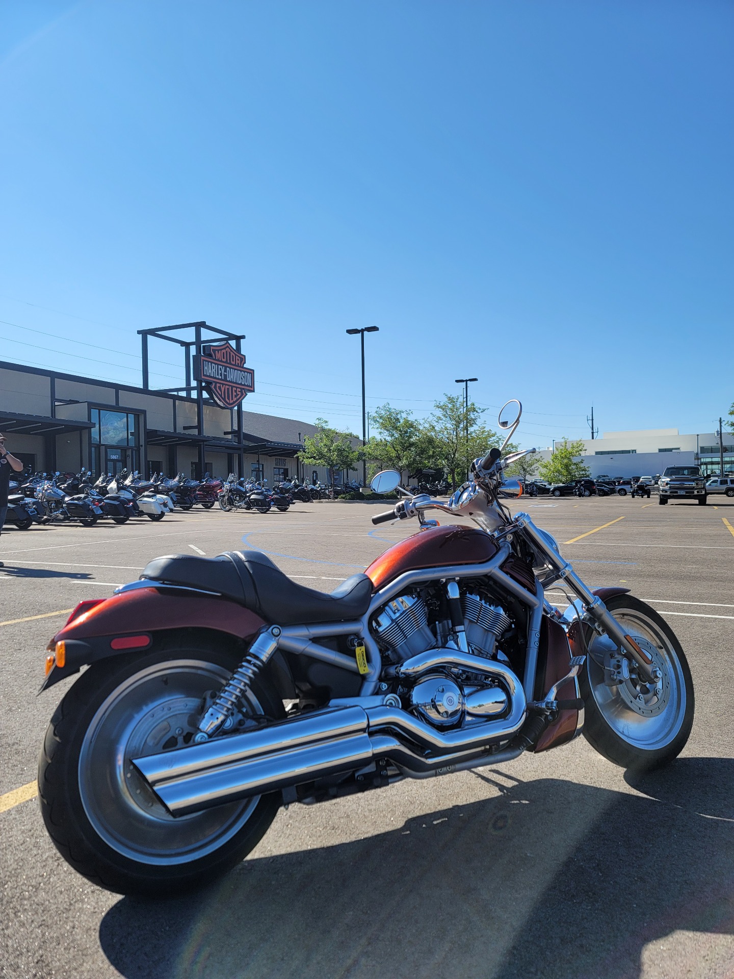 2003 Harley-Davidson VRSCA  V-Rod® in Colorado Springs, Colorado - Photo 6