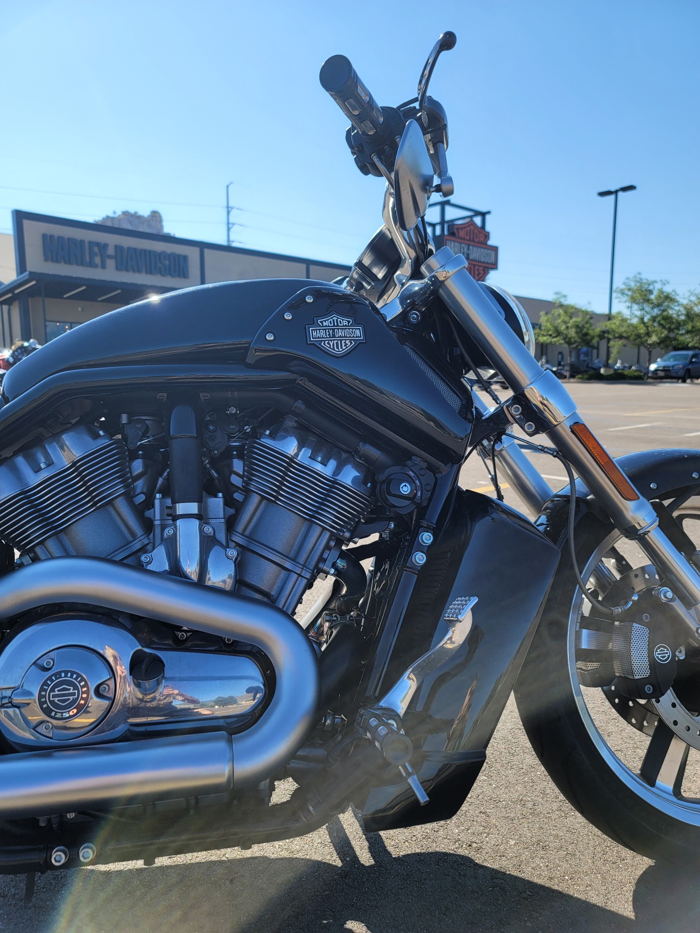 2013 Harley-Davidson V-Rod Muscle® in Colorado Springs, Colorado - Photo 5