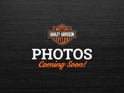 2021 Harley-Davidson Street Glide® Special in Colorado Springs, Colorado - Photo 1