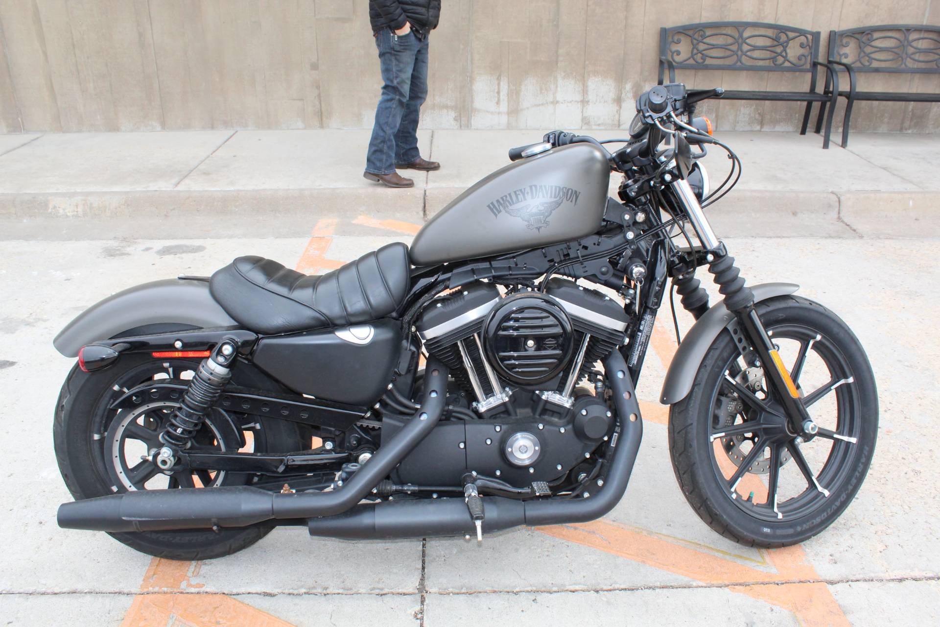 Used Harley Davidson Iron 883 Off 77 Medpharmres Com