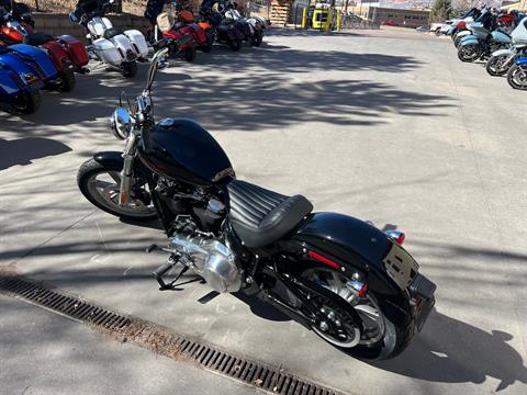 2024 Harley-Davidson Softail® Standard in Colorado Springs, Colorado - Photo 6