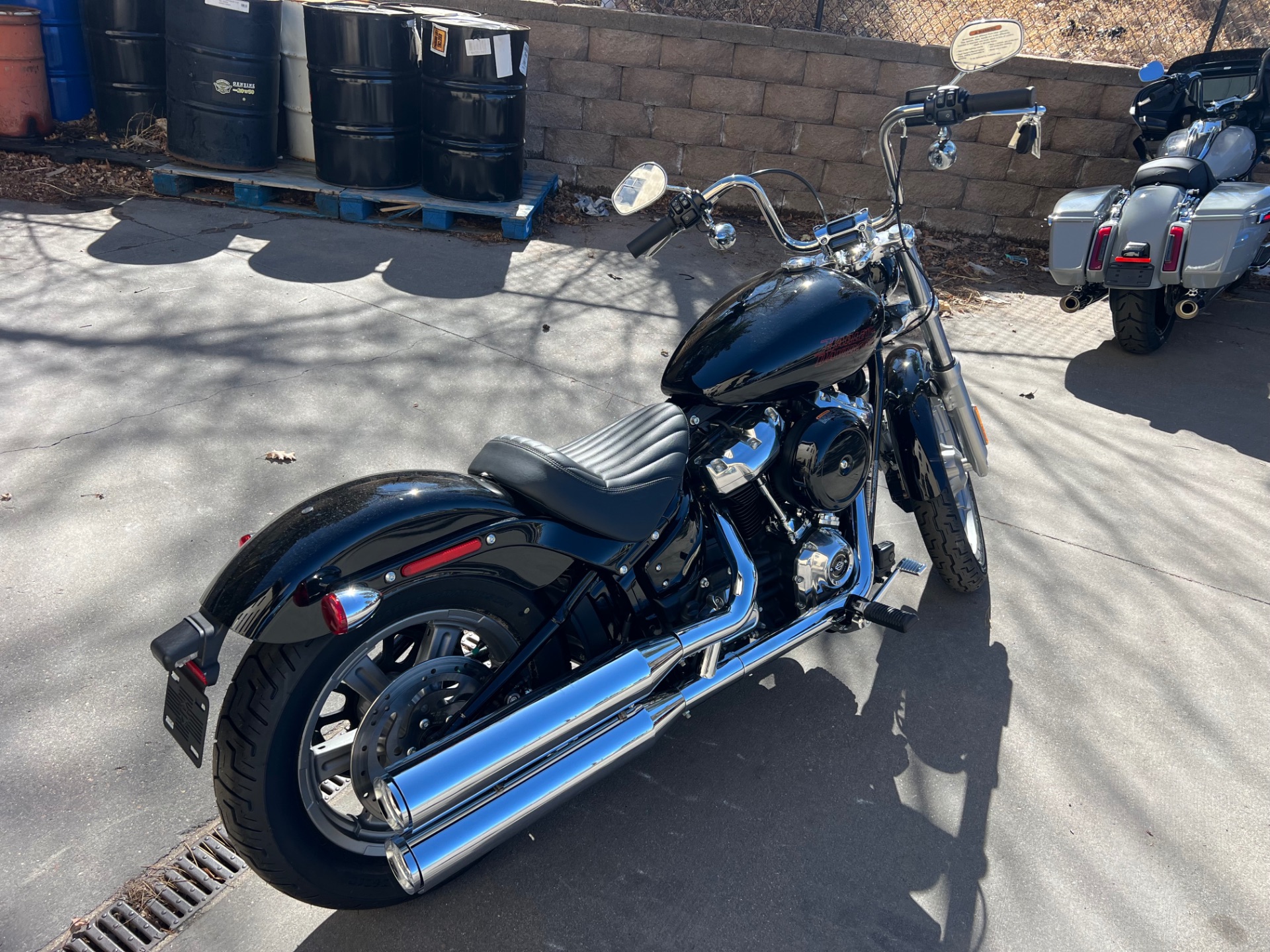 2024 Harley-Davidson Softail® Standard in Colorado Springs, Colorado - Photo 8