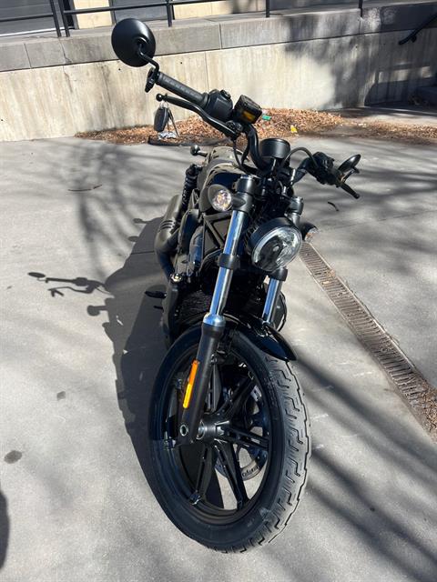 2024 Harley-Davidson Nightster® in Colorado Springs, Colorado - Photo 3