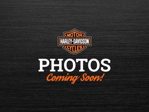 2015 Harley-Davidson Heritage Softail® Classic in Colorado Springs, Colorado - Photo 1