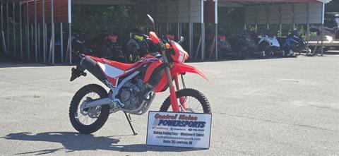 2024 Honda CRF300L ABS in Lewiston, Maine - Photo 2